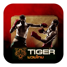 tiger-boxing